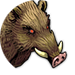 Boar