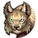Lynx