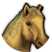 Islandar Horse