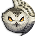 Snowy owl